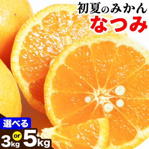 【ふるさと納税】＜先行予約＞初夏のみかん なつみ 選べる 約3kg 約5kg 株式会社 魚鶴商店《2026年4月中旬-4月下旬頃出荷》 和歌山県 日高町 みかん なつみ 南津海 柑橘 果物 フルーツ 送料無料