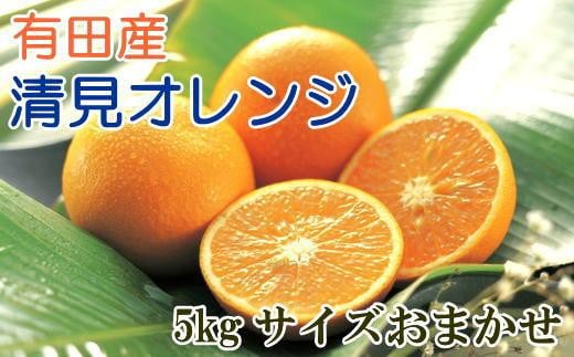 
            ［濃厚］有田産清見オレンジ約5kg（サイズおまかせ・青秀以上）★2026年2月下旬頃より順次発送［TM43］
          