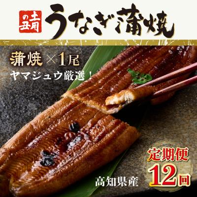 ふるさと納税 室戸市 ヤマジュウ厳選!国産蒲焼き1尾【12回定期便】