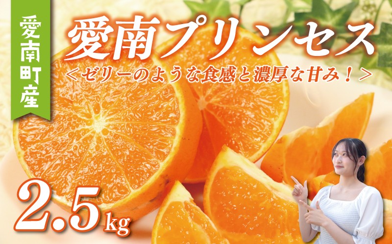 
            愛南 プリンセス 2kg サイズミックス 15000円 みかん 愛果48号 まどんな と 甘平 を交配 高級 人気 ブランド 柑橘 果物 フルーツ 紅プリンセス と 同一品種 数量限定 期間限定 産地直送 国産 農家直送 特産品 お取り寄せ ギフト プレゼント mikan 蜜柑 ミカン ぷりんせす 甘い おいしい ゼリー ぷるぷる 果樹園みどり 愛南町 愛媛県
          