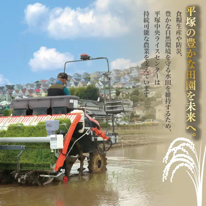 【 定期便3か月 】 精米 令和7年産 はるみ 5kg 特Aランク 米