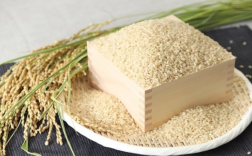 木村さんの炊飯器で発芽する発芽玄米（3合×6袋） お米 コメ こめ 発芽玄米 玄米 安心 安全 良質 美味しい お試し 木村さんシリーズ