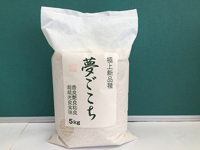 新米 令和7年産 夢ごこち 5kg 白米【T034W2】近江米 ご飯 精米 新米