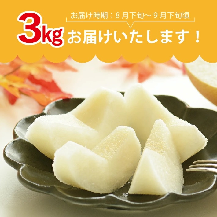 SA2611　刈屋梨 和梨 (品種おまかせ)　約3kg