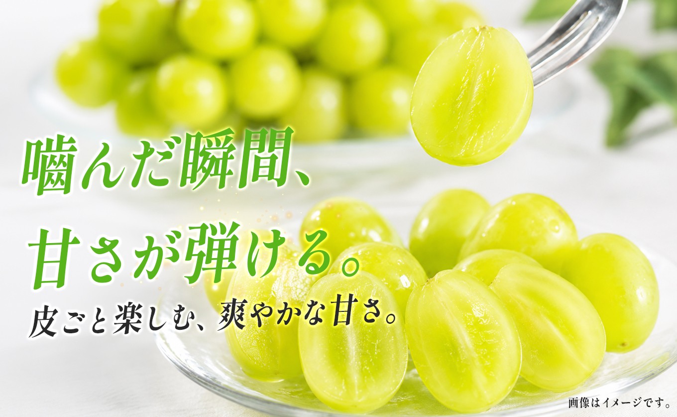 ぶどう狩りでも親しまれる「観光農園わっはっは！」