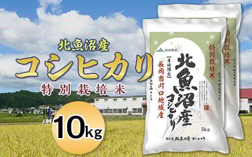 7T10-1北魚沼産コシヒカリ特別栽培米10kg（長岡川口地域）【2026年1月発送】