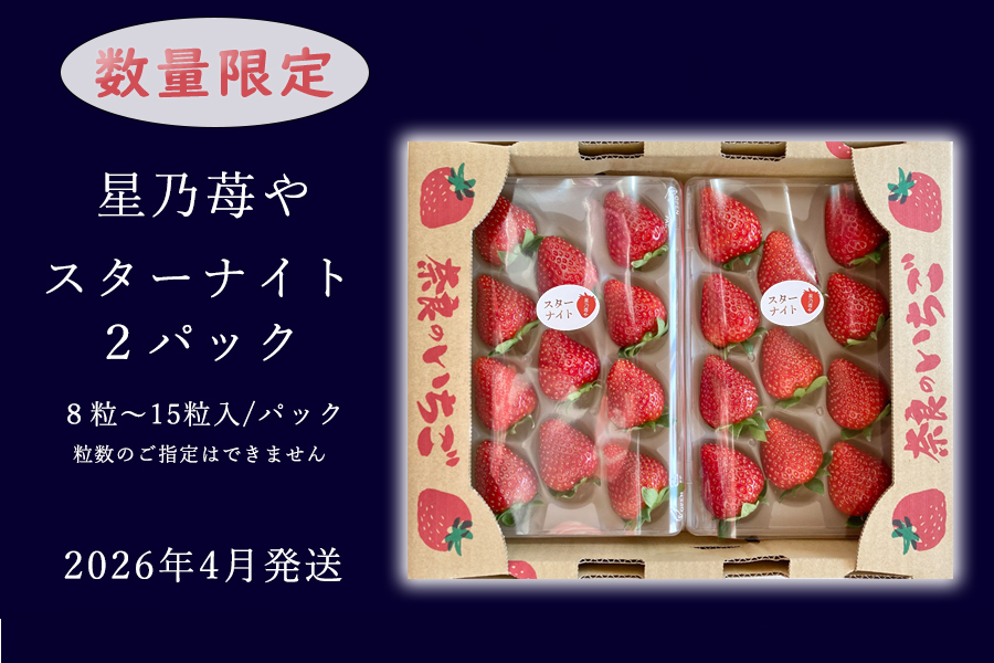 【先行予約】【スターナイト】2パック 2026年4月発送// 苺 いちご イチゴ ストロベリー スターナイト 奈良 奈良県 広陵町 生産者直送  直送 厳選 数量限定 旬 フルーツ 甘い 完熟 果物