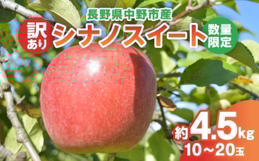 
            ＜2025年発送＞＜数量限定!＞シナノスイート訳あり約4.5kg10-20玉【1414231】
          
