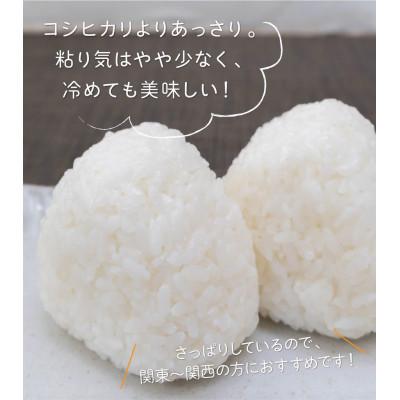ふるさと納税 刈羽村 【新潟県早生品種】【無洗米】刈羽村産こしいぶき 5kg |  | 01