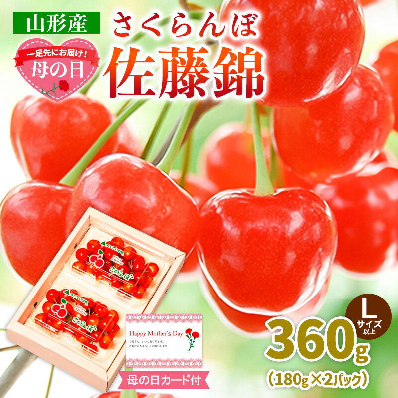 【ふるさと納税】一足先にお届け！【母の日】さくらんぼ佐藤錦360gLサイズ以上(180g×2パック) 【令和8年産先行予約】FS25-013
