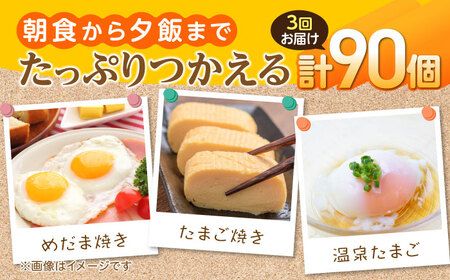 【3回定期便】お茶と海藻で健康育ち 元気卵 90個（30個×3回） / たまご タマゴ 玉子 鶏卵 / 亀山市 / 藪本養鶏園 [AMBH002]