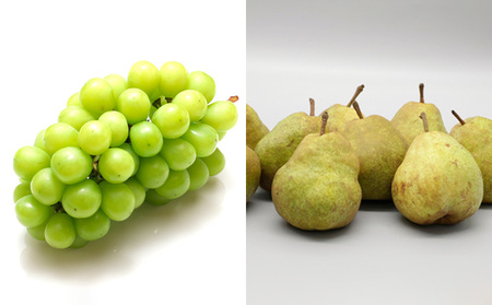 【定期便6回】山形フルーツ デラックス定期便 FY25-825