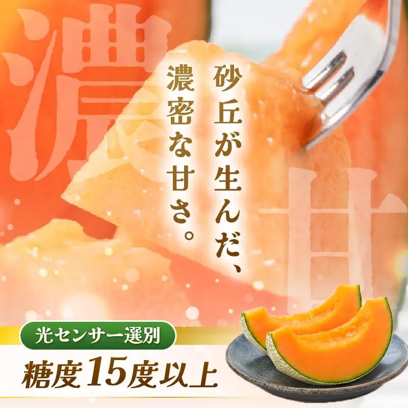 先行予約  マルセイユメロン (赤肉) 2玉 糖度15度以上 2027年6月上旬以降順次発送予定 [B-22101]