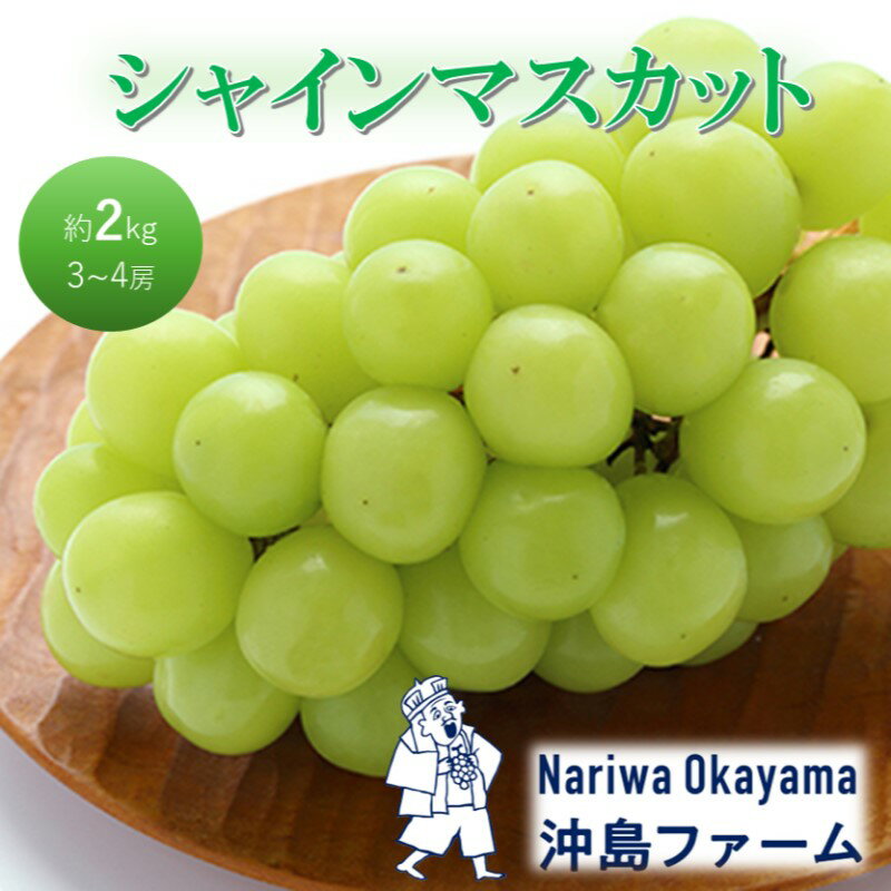 【ふるさと納税】早期受付 ぶどう シャインマスカット 約2kg（3～4房）岡山県高梁市産 沖島ファーム 化粧箱入り 葡萄 ブドウ 贈答用　お届け：2025年10月上旬～2025年10月下旬