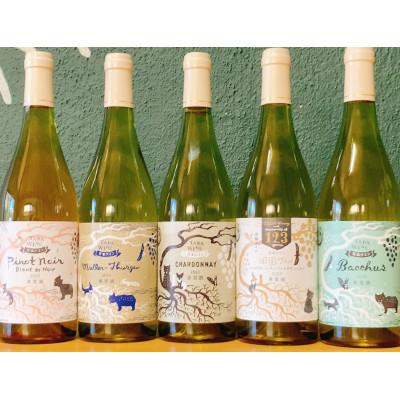 ふるさと納税 上富良野町 【野生酵母&amp;無濾過】辛口白ワイン5本セット 多田ワイナリー