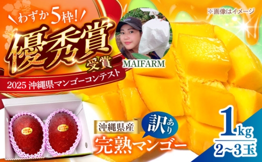 マンゴー 訳あり 1kg (2〜3玉)【2026年発送】 MAIFARM [BCAN003] マンゴー フルーツ ふるーつ まんごー くだもの 果物 Mango MANGO mango 果実 トロピカルフルーツ 訳アリ わけあり ワケあり ワケアリ 沖縄県産 完熟 芒果 家庭用 国産 南国 デザート 産地直送 直送 季節限定 旬 スイーツ 国産 家庭用 ご当地 特産品 送料無料 沖縄市