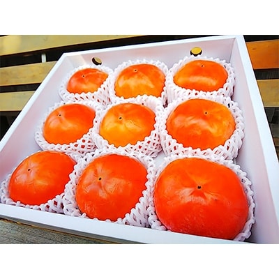 国城観光農園の富有柿9個入り(3Lサイズ)【配送不可地域：北海道・沖縄県】