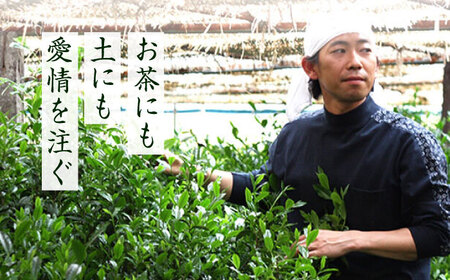 【全6回定期便】八女茶 奥八女星野村 深蒸し高級煎茶 (深蒸し茶) 100g×1袋 吉富町/株式会社ベネフィス[BGAF016]