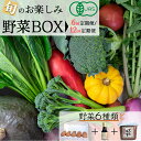 【ふるさと納税】野菜 定期便 6回 12回 選べる 産地直送！有機JAS認定 京野菜・農家のこだわり野菜・新鮮卵など お楽しみセット＜京都・矢田の里＞≪定期便 定期 オーガニック 栽培期間中農薬・化学肥料不使用 定期便 野菜 ふるさと納税野菜≫