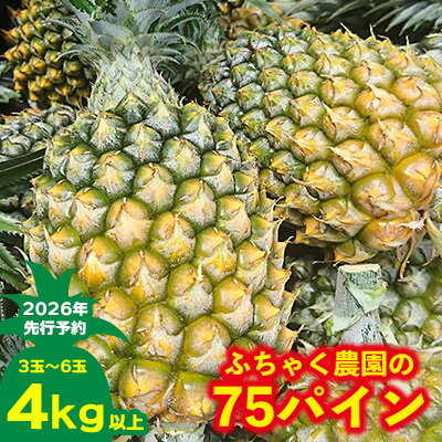 【ふるさと納税】【2026年先行予約】ふちゃく農園の75パイン4kg以上 パイン パイナップル パインアップル スナックパイン 沖縄県産パイン フルーツ 南国フルーツ トロピカルフルーツ 沖縄フルーツ 果物 くだもの 果実 デザート 甘い 人気 プチギフト 産地直送
