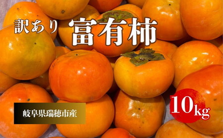 【先行予約】岐阜県瑞穂市産 訳あり富有柿 10kg | 柿 富有柿 ※2026年11月～発送