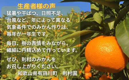 則村園産 有田みかん 約2.5kg
