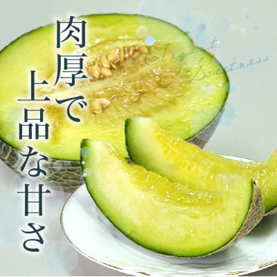 南九州市産マリオネットメロンB等級 約4.5～5kg【配送不可地域：離島】