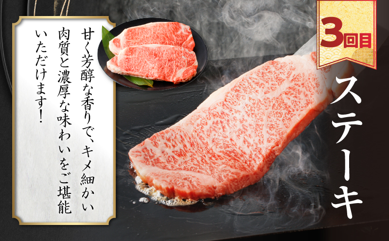 【10月1日より寄附額改定】≪3か月定期便≫夢の宮崎牛食べつくしセット(総重量3kg) 肉 牛 牛肉 おかず 国産_T030-142