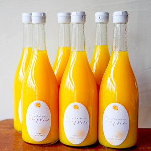 【2027年3月中旬頃から順次発送】いよかんストレート果汁100％ジュース 720ml×12本 | 数量選択可 果汁100% 無添加 伊予柑 ストレートジュース 数量選択可 | みかんジュース 果汁1