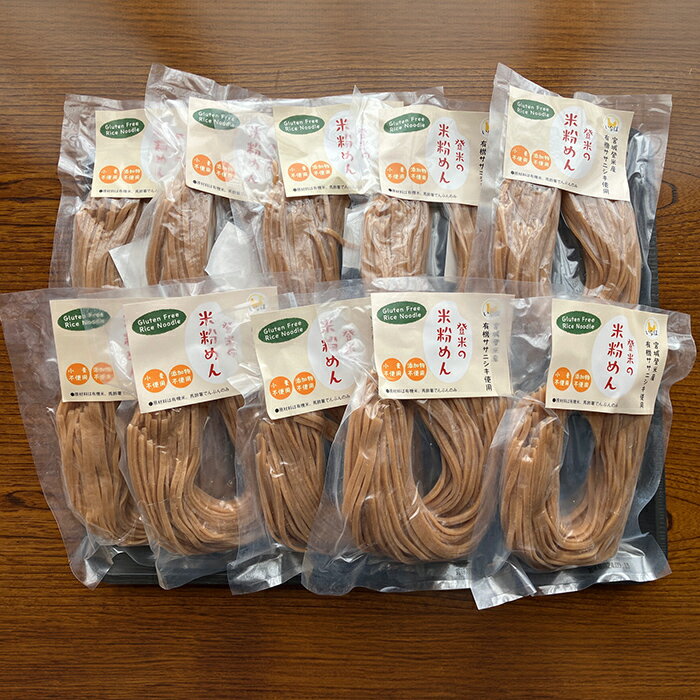 【ふるさと納税】登米の米粉めん 120g×10食 玄米麺 グルテンフリー 小麦不使用 米粉めん 有機ササニシキ使用 小分け 国産 うどん 焼きそば 中華 そうめん パスタ ラーメン 麺【株式会社いなほ】 tm263