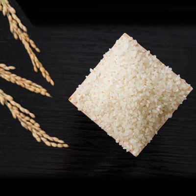 ふるさと納税 久米南町 【食味鑑定士厳選】岡山県産 きぬむすめ20kg(5kg×4袋) |  | 03