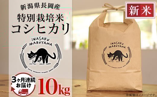 
            L4-K103【3ヶ月連続お届け】新潟県長岡産 特別栽培米コシヒカリ 10kg
          