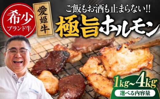 【冷凍】 愛姫牛 肉屋のこだわりお惣菜 タレ漬けミックスホルモン 500g×4パック 2kg 愛媛県大洲市/有限会社 木村屋精肉店 牛丼 牛肉 和牛 牛 国産 [AGCC069]国産和牛 愛媛県産 大洲市産 人気 おすすめ ランキング 簡単 おいしい お肉 肉 国産肉 焼肉 送料無料 お取り寄せ グルメ ホルモン 冷凍 焼き肉 BBQ バーベキュー ホルモン焼きそば ホルモン炒め