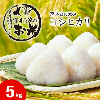 【ふるさと納税】〈令和7年産〉茨城県稲敷市産コシヒカリ 精米5kg【配送不可地域：離島・沖縄県】【1659576】