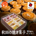 【ふるさと納税】 秋田の焼き菓子 5種 各2袋 計10個 セット サブレ マドレーヌ パウンドケーキ クッキー 詰め合わせ セット 特産品 オリジナル お菓子 おやつ ギフト お取り寄せ おすすめ ふるさと 潟上市 バレンタイン 秋田 送料無料 【パティスリー・パルテール】