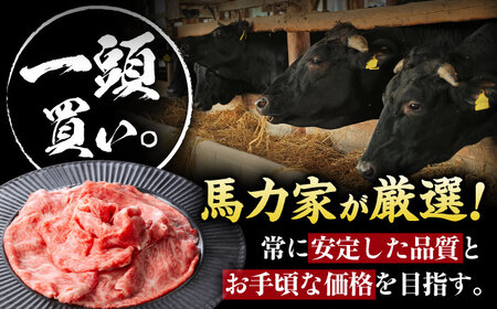 【3回定期便】飛騨牛肩ロース 400g×1パック すき焼きしゃぶしゃぶ用肉 / すき焼き しゃぶしゃぶ 牛肉 / 御嵩町 / 馬力家[AVBO030]