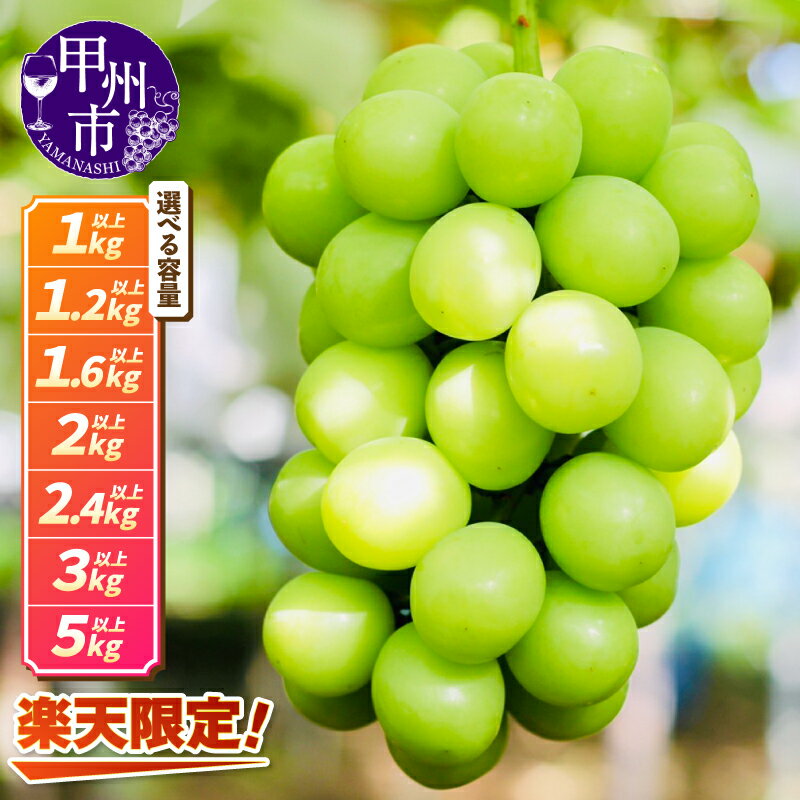 【ふるさと納税】《迎春企画実施中》楽天限定 シャインマスカット 2026年 先行予約 1kg 2kg 3kg 5kg 8月 9月 10月 果物 ぶどう マスカット 数量限定 期間限定 朝採り フルーツ おすすめ 産地直送 山梨県 甲州市 社員マスカット ランキング まずはお試し 10000円 以下 （LMS）