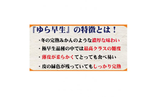 濃厚な味わい ご家庭用 ゆら早生みかん　約4kgサイズ混合【10月上旬より発送】希少品種《有機質肥料100％》※2025年10月上旬より順次発送予定【nuk162A】
