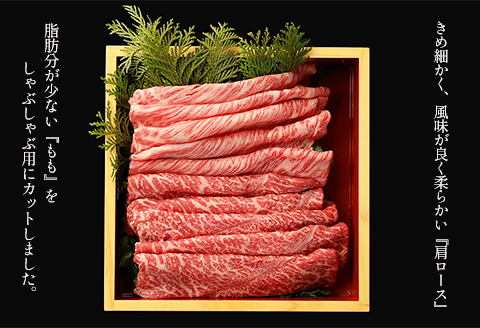 【冷凍】飛騨牛しゃぶしゃぶセット 計400g （もも 200g・肩ロース 200g）最高級 国産 牛肉 ブランド牛 和牛 しゃぶしゃぶ  【22-32】