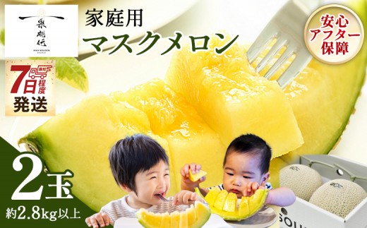 メロン 家庭用 2玉入り 【7日程度で発送】一果相伝マスク 最短配送 果物 フルーツ ギフト 家庭用 美味しい 甘い ケーキ あまい 産地直送 4月 5月 父の日 母の日 高知県 香南市 常温 メロン tn-0063