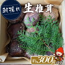 【ふるさと納税】【期間限定】朝採れ 生椎茸 約300g (大小10個程度) 生しいたけ 生シイタケ 原木栽培 茸 きのこ 大分県産 九州産 中津市 国産 送料無料【発送は、2024年11月中旬～2025年3月末までの予定】