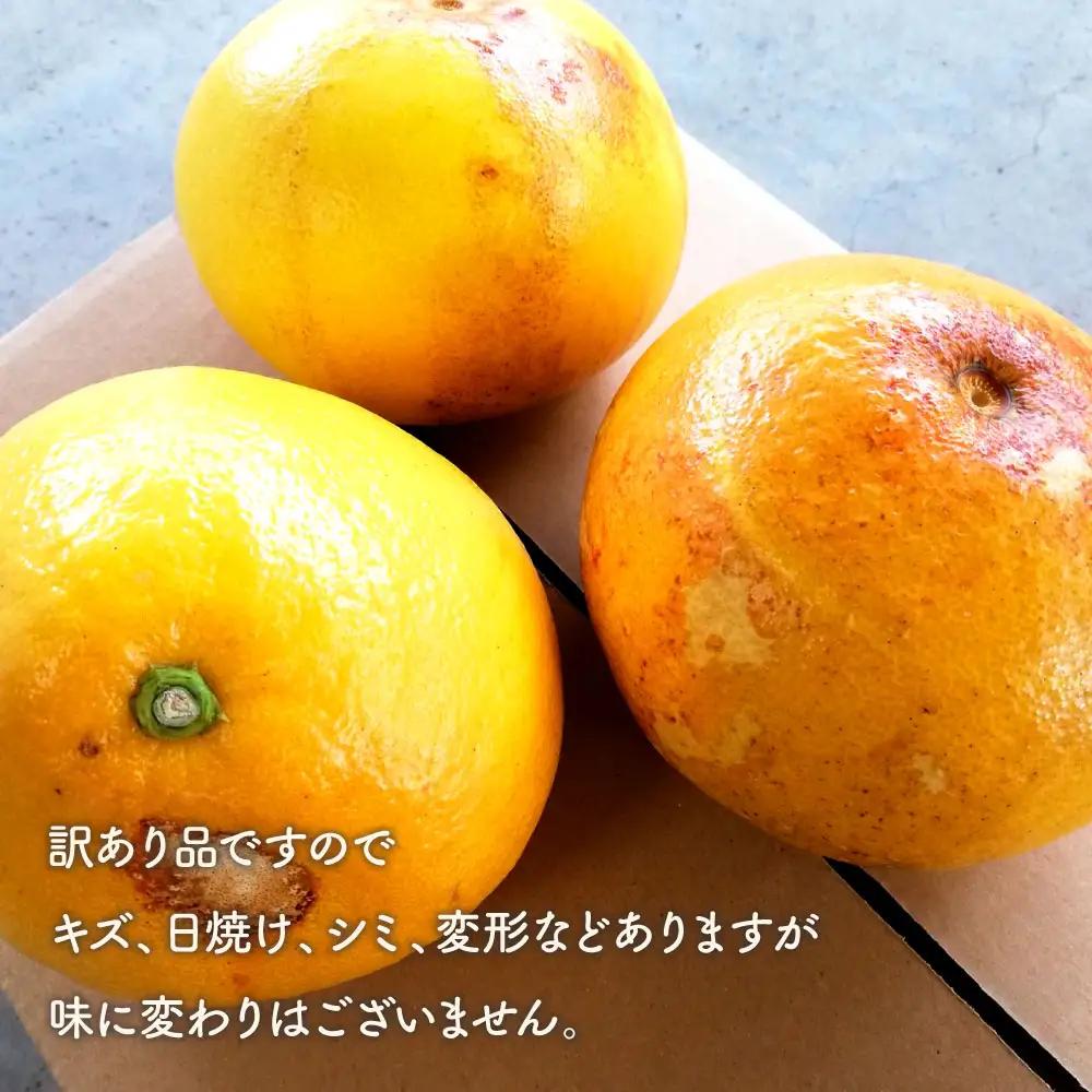 【先行予約】土佐文旦 5kg 訳あり 文旦[BQAN007]