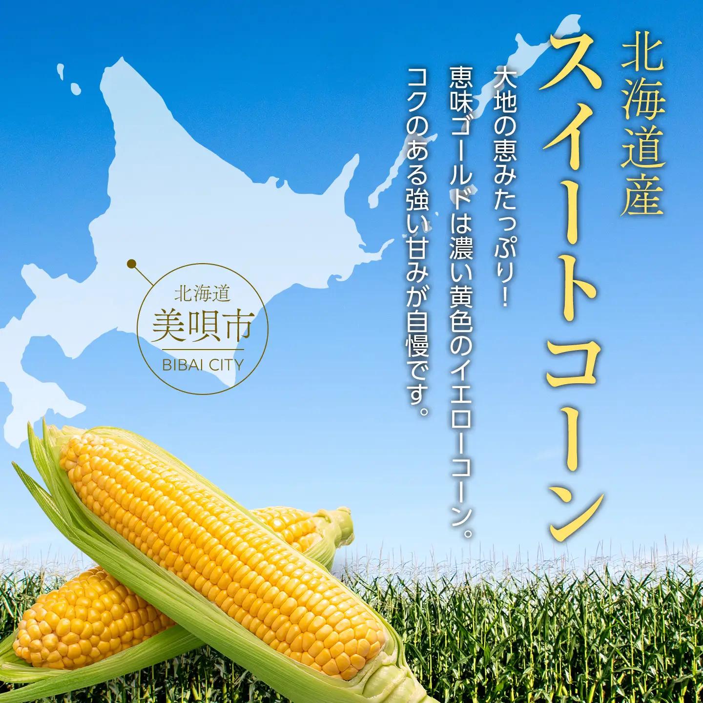 【2026年発送】【先行予約】【数量限定】北海道産スイートコーン　１０本入　 ｜ コーン