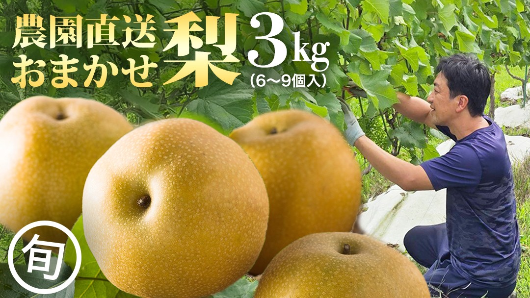 
                  農園直送！おまかせ 梨 3kg 【7月下旬発送開始】 ナシ なし 果物 フルーツ デザート 秋  茨城県 はつまる 夏しずく 幸水 豊水 あきづき 恵水 甘太 にっこり
                