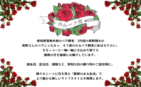 バラ 花束 35本 定期便 6カ月コース