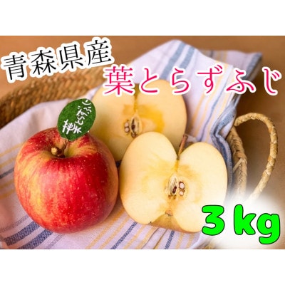 先行受付【青森市産・完熟葉とらずふじ】約3kg(家庭用)【1613752】