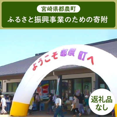 ≪返礼品なし≫宮崎県都農町のふるさと振興事業【4,000円】T000-007-04