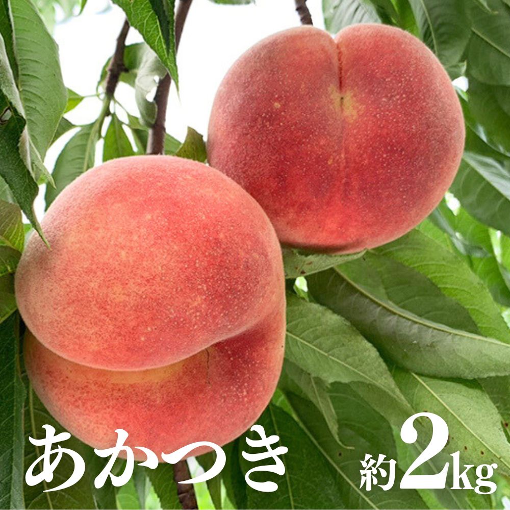 【ふるさと納税】No.1586もも（あかつき）約2kg《2025年7月中旬から8月上旬発送予定》桃 もも モモ 果物 フルーツ お取り寄せ 福島 白桃 あかつき 2025年出荷分 先行予約 産地直送 20000円以下