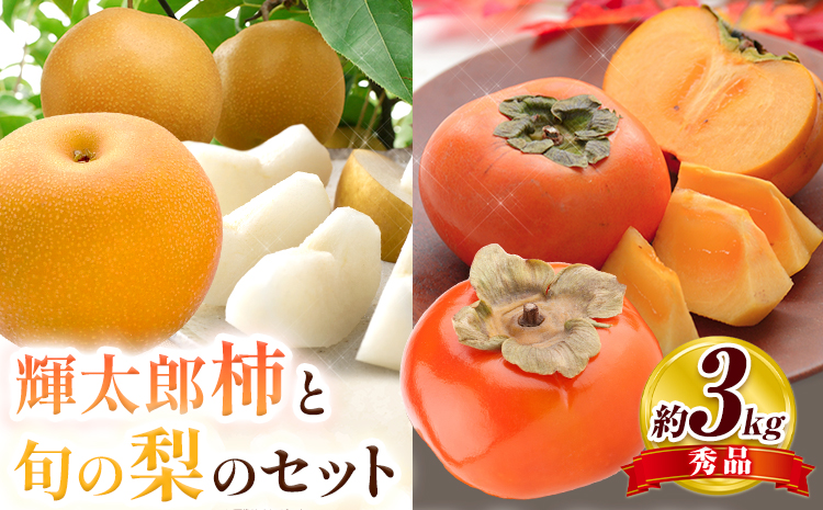 【先行予約】かき 柿 梨 なし 輝太郎柿と旬の梨セット 秀品 約3kg《10月上旬-10月末頃出荷》 鳥取県 八頭町 果物 くだもの フルーツ セット 高間商店 送料無料