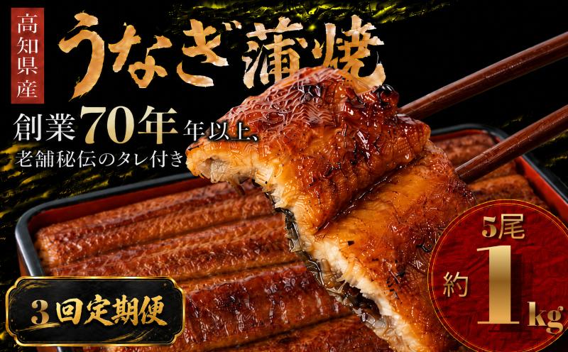 
                  【3回 定期便】  高知県産 うなぎ 蒲焼 5尾 | 国産 日本産 うな重 うな丼 鰻 ウナギ 有頭 蒲焼き かばやき 土用丑の日 土用の丑の日 丑の日 魚 魚介 魚貝 海鮮 高級 贅沢 特別 老舗 初音 釜めし初音 鰻蒲焼 タレ付き タレ 贈答 お取り寄せ 冷凍 うな重 ギフト 贈り物 お祝い プレゼント ご褒美 人気 おすすめ 湯煎 簡単 調理 おかず お手軽 ご当地 グルメ 高知県 南国市
                